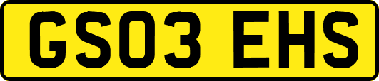 GS03EHS
