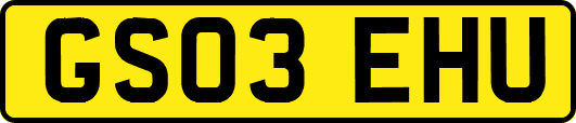 GS03EHU