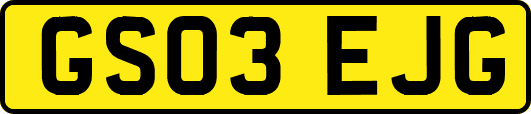 GS03EJG