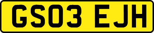 GS03EJH