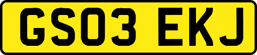 GS03EKJ