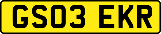 GS03EKR