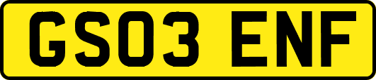 GS03ENF