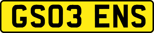 GS03ENS