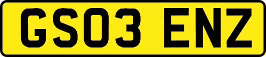 GS03ENZ