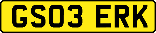 GS03ERK
