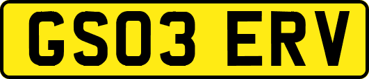 GS03ERV