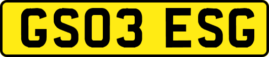 GS03ESG