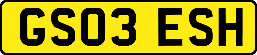 GS03ESH