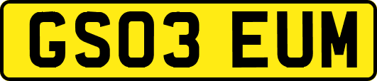 GS03EUM