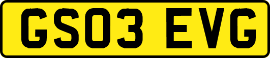 GS03EVG