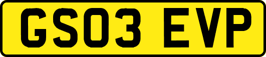 GS03EVP