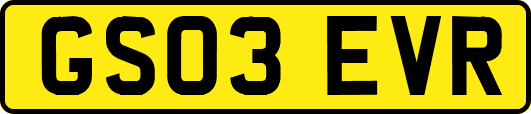 GS03EVR