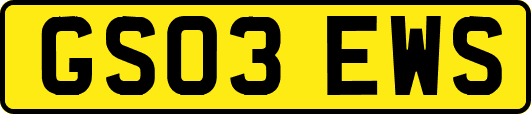 GS03EWS