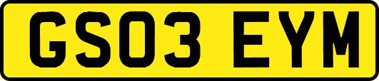 GS03EYM