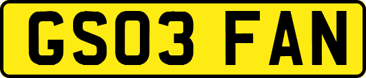 GS03FAN