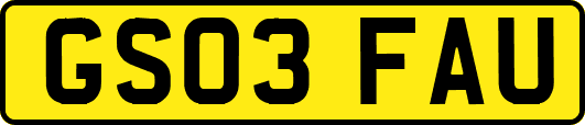 GS03FAU