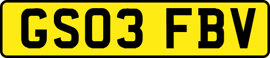 GS03FBV