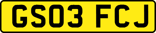 GS03FCJ