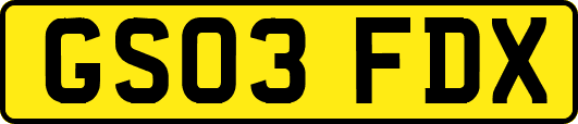 GS03FDX