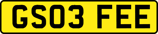 GS03FEE