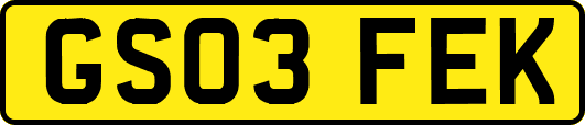 GS03FEK