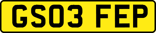 GS03FEP