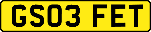GS03FET