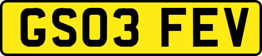 GS03FEV