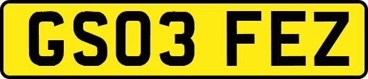 GS03FEZ