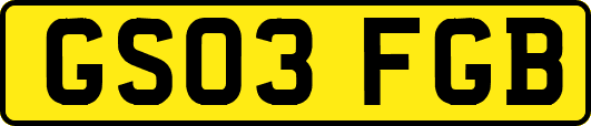 GS03FGB