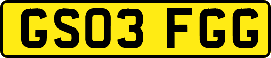 GS03FGG