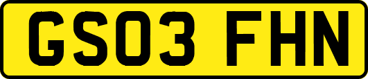 GS03FHN