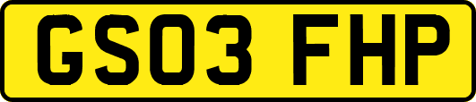 GS03FHP