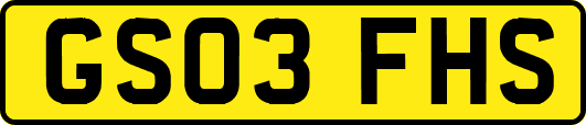 GS03FHS