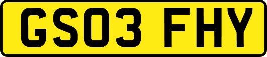 GS03FHY