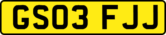 GS03FJJ