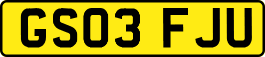 GS03FJU