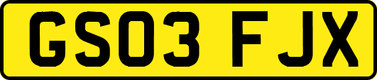 GS03FJX