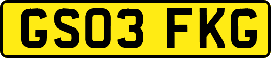 GS03FKG