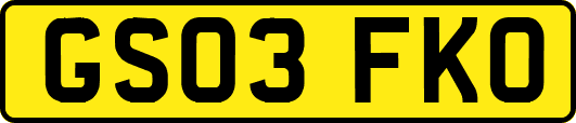 GS03FKO
