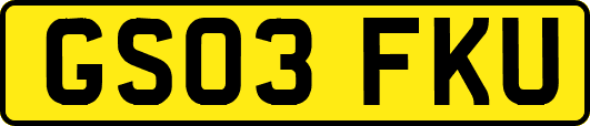 GS03FKU