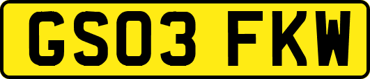GS03FKW