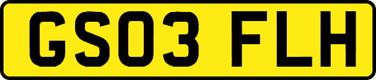 GS03FLH