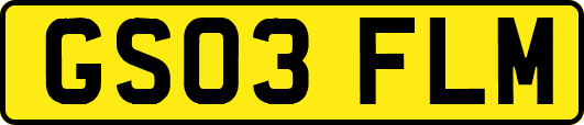 GS03FLM