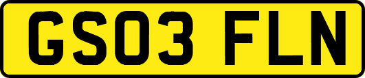 GS03FLN