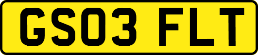GS03FLT