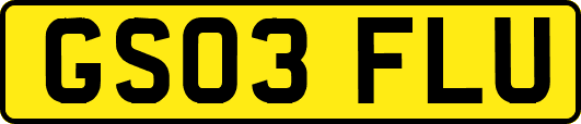 GS03FLU