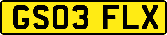 GS03FLX