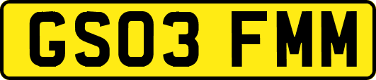 GS03FMM